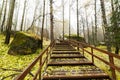 The stairs in the Stolby Nature Reserve in the autumn in Krasnoyarsk. Royalty Free Stock Photo