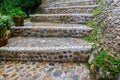 Stairs stone path in garden