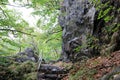 Stairs of stones in Valley of River Bode Royalty Free Stock Photo