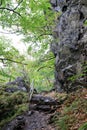 Stairs of stones in Valley of River Bode Royalty Free Stock Photo