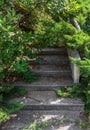 Stairs and surrounding vegetation Royalty Free Stock Photo