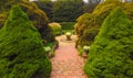 Stairs and theater lawn Royalty Free Stock Photo