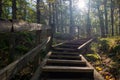 Stairs to forest