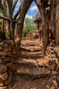 Stairs to house in fantastic alled village tribes Konso, Ethiopia