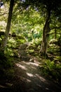 Stairs to the light Royalty Free Stock Photo