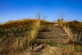 Stairs to the meadow.