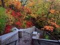 Stairs to Minnehaha waterfall Royalty Free Stock Photo