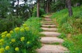 Stairs to Mount Lykavittos in Athens, Greece Royalty Free Stock Photo