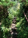 Stairs to nowhere Royalty Free Stock Photo