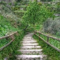 Stairs to paradise Royalty Free Stock Photo