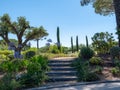 Stairs to the park surrounded by the olive trees, flowers and bushes Royalty Free Stock Photo