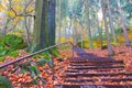 Stairs to the Pfaffenstein in the Elbe sandstone mountains