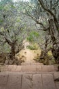 Stairs to the sanctuary and hilltop temple of Wat Phou