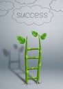 Stairs to success creative concept, plant growth as ladder