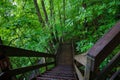 Stairs to top of Amicalola Falls in Dawsonville, Georgia