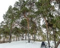 stairs to the top of the hill in winter, pine trees grow on the hill Royalty Free Stock Photo