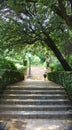 Stairs under arched grove in Montjuic mountain gardens, Barcelona