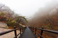 Stairs up Bukhansan Mountain