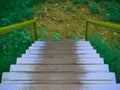 Stairs up to down shot at green grass garden Royalty Free Stock Photo