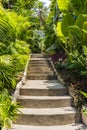 Stairs upward in tropical garden in sunny day Royalty Free Stock Photo