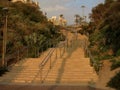 Stairs between vegetation Royalty Free Stock Photo