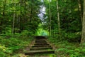 the stairs are very narrow in the woods near trees photo Royalty Free Stock Photo