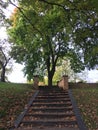 Stairs view with lots of leaves in the park, in fall