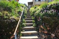 Stairs view with nice bushes and plants on the sides