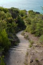 Path with stair in New Zealand Royalty Free Stock Photo
