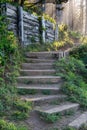 Stairs Wind Up a Trail Into Pine Forest Royalty Free Stock Photo