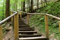 Stairs. Wooden stairs up in the forest with tall trees