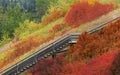 Stairway in autumn bush Royalty Free Stock Photo