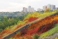 Stairway in autumn bush Royalty Free Stock Photo