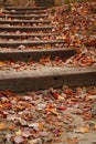 Stairway covered with fallen leaves