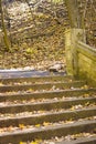 Stairway covered with leaves Royalty Free Stock Photo
