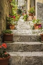 Stairway with flowers