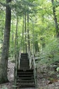 Stairway in the Forest