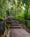 Stairway in the forest Royalty Free Stock Photo