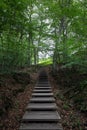 Stairway In Forest Royalty Free Stock Photo