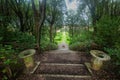 Stairway in Garden of Fortezza Medicea Royalty Free Stock Photo