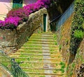 Stairway with Green Moss and Pink Flowers Royalty Free Stock Photo