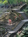 Stairway in the jungle of Goa Gajah temple in Bali