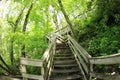 Stairway leading to the top of Amicalola Falls