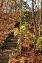 Stairway leading up a glacial hill covered in fall colors in an Indiana forest