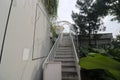 Green hallway to a rooftop with vines, trees, and houseplants in a green building concept