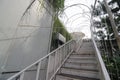 Stairway with the rustic and green building concept.