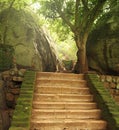 Stairway in sigiriya