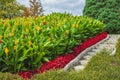 Stairway in a summer garden. Staircase lined with flowers and plants in public park. Stone path with flowers Royalty Free Stock Photo