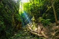 stairway to the cliffs in the woods