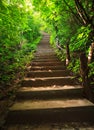 Stairway to forest Royalty Free Stock Photo